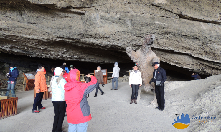 Full Day Paine Tour